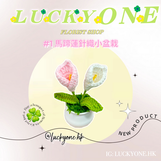 多色可選💐馬蹄蓮針織小盆栽|畢業花束|畢業禮物|針織花束|企業禮品訂製|學校團體小禮物|公司紀念品|廣告贈品|禮品訂製|網上訂花|觀塘花店