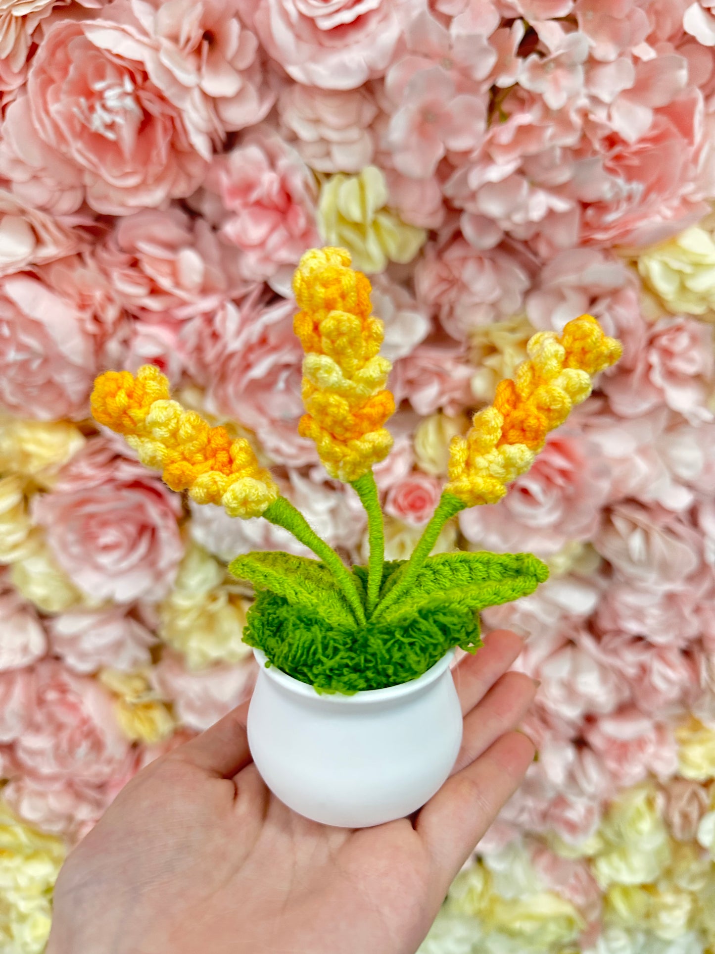 多色可選💐薰衣草針織小盆栽|畢業花束|畢業禮物|針織花束|企業禮品訂製|學校團體小禮物|公司紀念品|廣告贈品|禮品訂製|網上訂花|觀塘花店