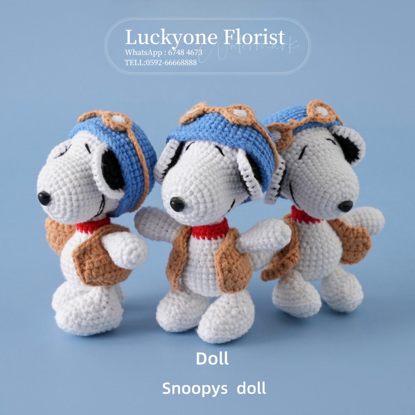 史努比| Snoopy|手工針織公仔|2024人氣動漫卡通角色IP款|鎖匙扣掛件|畢業花束|畢業禮物|畢業公仔|針織花束 編織花束 鈎織花束|人手製作|網上花店|觀塘花店