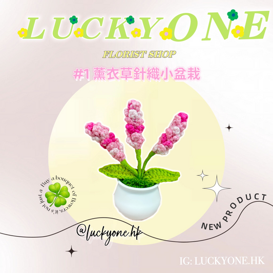多色可選💐薰衣草針織小盆栽|畢業花束|畢業禮物|針織花束|企業禮品訂製|學校團體小禮物|公司紀念品|廣告贈品|禮品訂製|網上訂花|觀塘花店