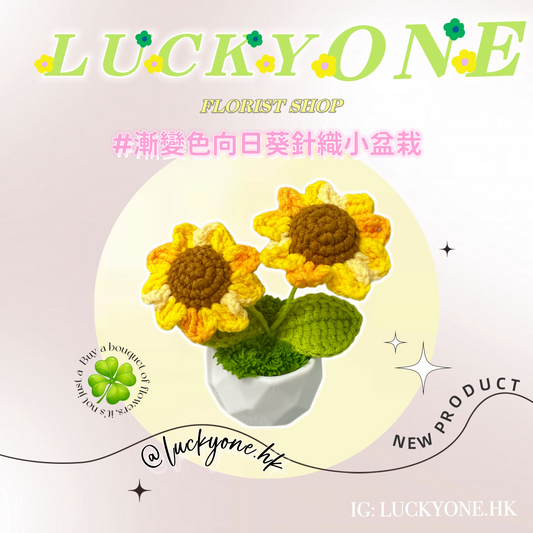 💛黃色雙頭漸變色太陽花 向日葵|畢業花束|畢業禮物|針織花束|企業禮品訂製|學校團體小禮物|公司紀念品|觀塘花店
