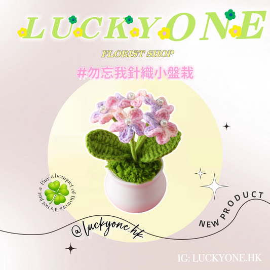 多色可選💐匆忘我 針織花小盆栽|畢業花束|畢業禮物|針織花束|企業禮品訂製|學校團體小禮物|公司紀念品|觀塘花店