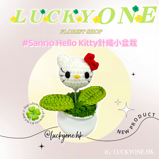 Sanrio Hello Kitty|針織小盆栽|畢業花束|畢業禮物|生活家居品味|家居小擺設|企業禮品訂製|學校團體小禮物|公司紀念品|廣告贈品|禮品訂製|網上訂花|觀塘花店