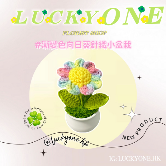 夢幻色漸變色太陽花 向日葵|畢業花束|畢業禮物|針織花束|企業禮品訂製|學校團體小禮物|公司紀念品|觀塘花店