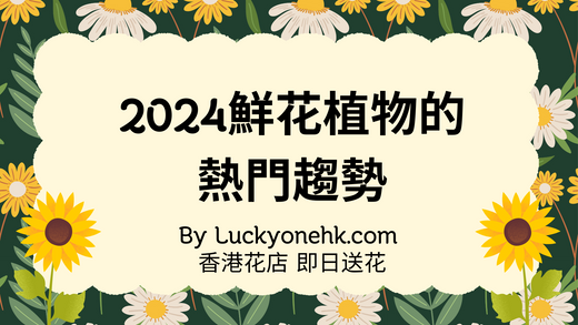 慶祝生日 表達愛意 道歉的心意 感謝家人 畢業祝賀 慶祝結婚週年 情人節的浪漫 母親節的愛 父親節的感謝 朋友的支持 送別同事 新店開張 升職慶祝 新家喬遷 病中關懷 新生兒誕生 紀念日禮物 週末驚喜 節日問候 公司慶典 婚禮祝福 求婚的驚喜 表達歉意 為自己慶祝 感謝老師 滿月酒祝賀 開業祝賀 畢業典禮的驚喜 感謝醫護人員 感謝朋友的幫助 追星應援 表白的勇氣 慶祝新工作 好友聚會的小驚喜 慶祝大學錄取 祝福退休同事 驚喜 伴手禮 感謝老闆 祝福新婚夫婦 節日慶典 感謝長輩的照顧